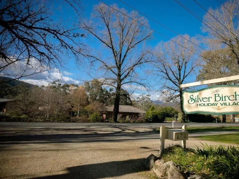The Birch House - Silver Birches Accommodation ブライト エクステリア 写真