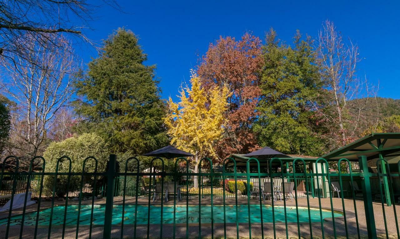 The Birch House - Silver Birches Accommodation ブライト エクステリア 写真